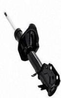 Front Strut