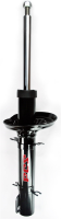 Front Strut