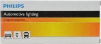 Front Turn Signal (Pack of 10)