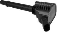 Ignition Coil 48771