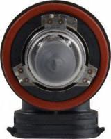 Low Beam Headlight