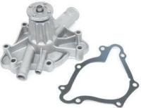 New Water Pump