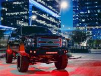 Purchase Top-Quality Radiance Pod by RIGID INDUSTRIES - 20202 pa2