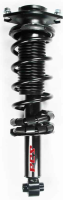 Rear Complete Strut Assembly