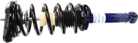 Rear Complete Strut Assembly
