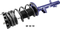 Rear Complete Strut Assembly