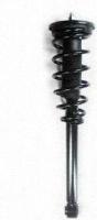 Rear Complete Strut Assembly