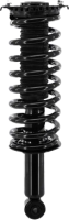Rear Complete Strut Assembly