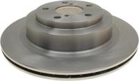 Rear Disc Brake Rotor