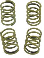 Rear Hold Down Spring