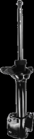 Rear Strut