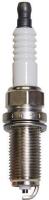 Resistor Spark Plug