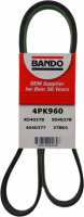 Serpentine Belt