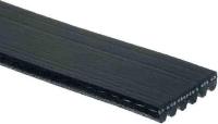 Serpentine Belt