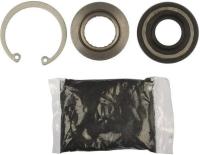 Steering Gear Seal Kit