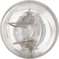 Step Or Courtesy Light (Pack of 10)