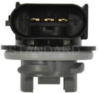 Tail Light Socket