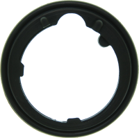 Thermostat Gasket