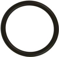 Water Outlet Gasket