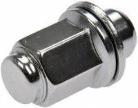 Wheel Lug Nut (Pack of 10)