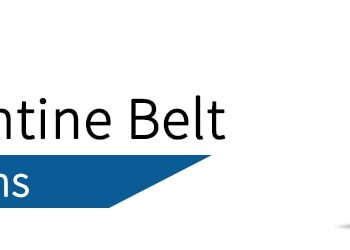 How To Diagnose And Fix A Serpentine Belt Under 45 Mins