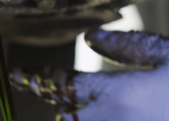 Importance Of Regular Engine Oil Changes.