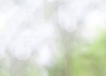 A Guide to Emission Standards Around the World