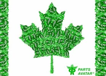 Canada and Sustainability: How We Compare Globally