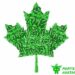 Canada and Sustainability: How We Compare Globally