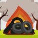 Tire Pollution: The Essential Facts